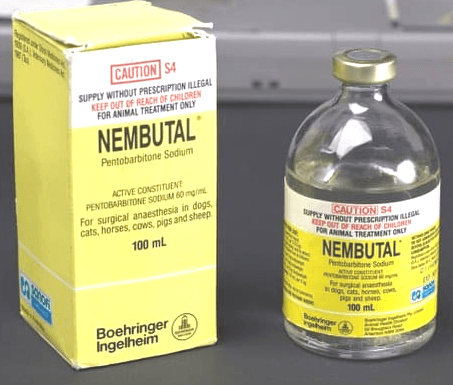 Nembutal Injection